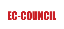 Logo Partner
